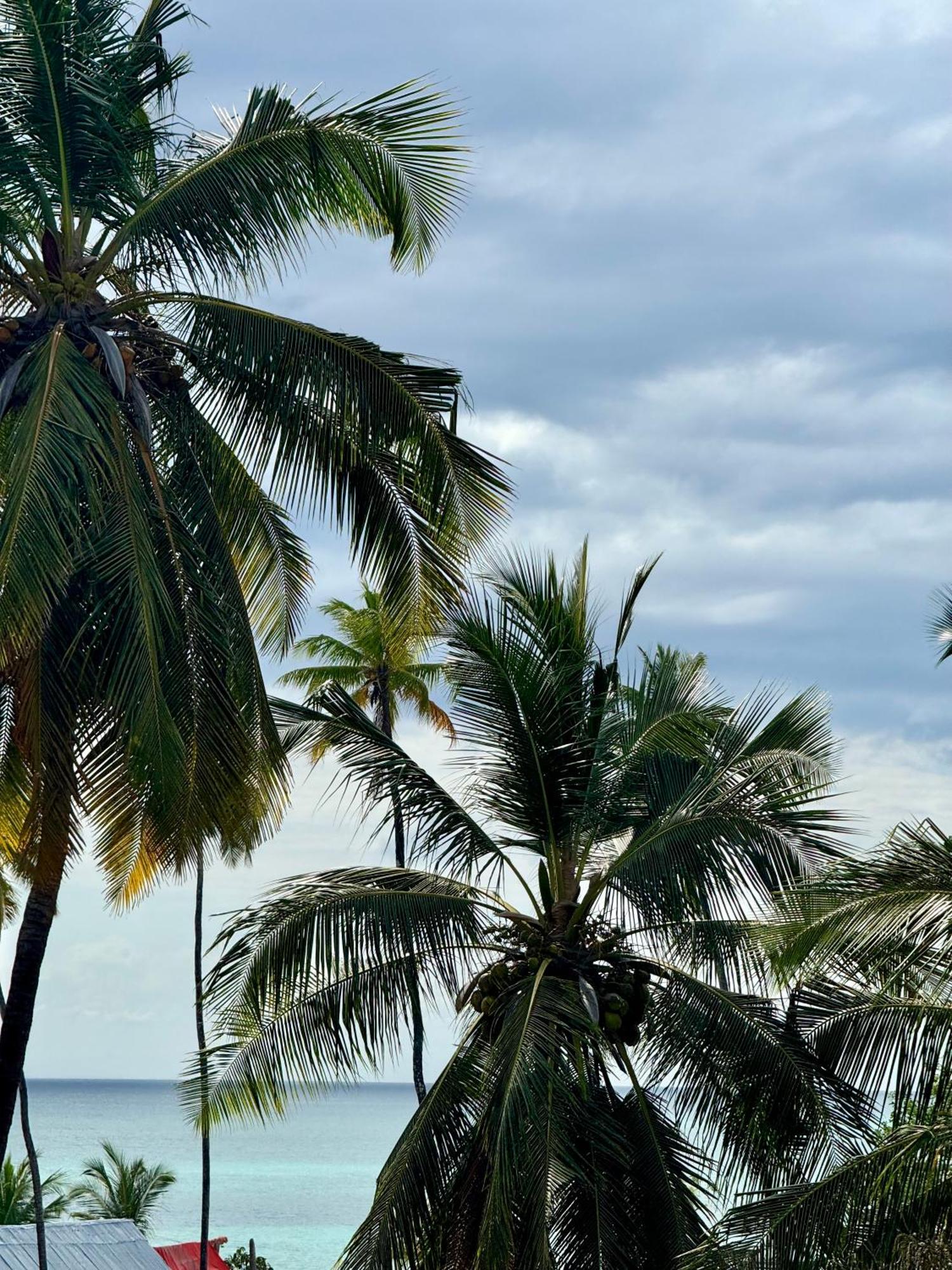 Rafiki Hotel Nungwi Beach Exteriér fotografie
